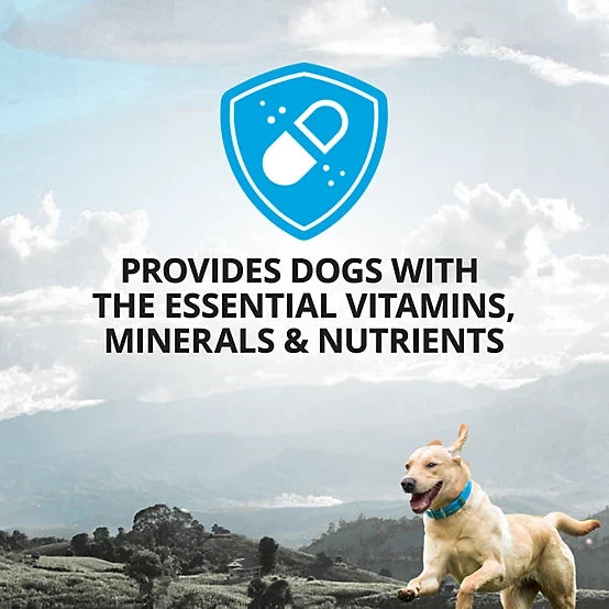 4health 4-in-1 Multivitamin Soft Chewable Dog Supplements for Dogs, 60 ct.