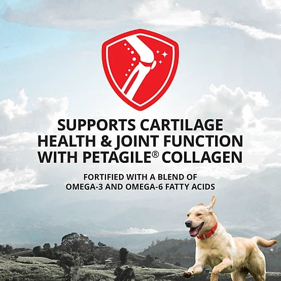 4health Advanced Formula Soft Chewable Hip and Joint Supplement for Dogs and Cats, 120 ct.