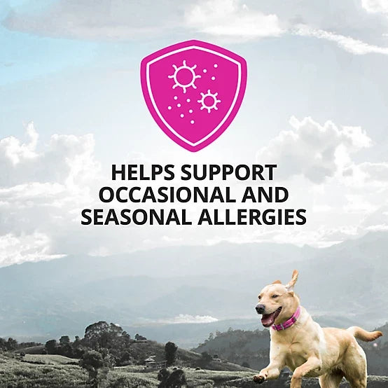 4health Allergy with Immune Support Soft Chewable Supplements for Dogs, 90 ct.