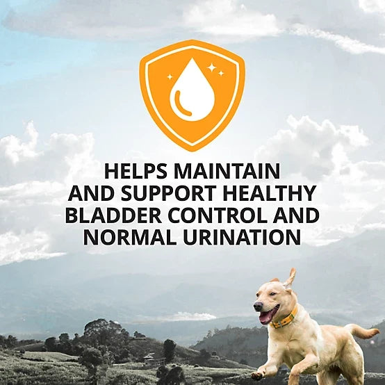 4health Bladder Support with Cranberry Soft Chewable Supplement for Dogs, 0.4 lb.
