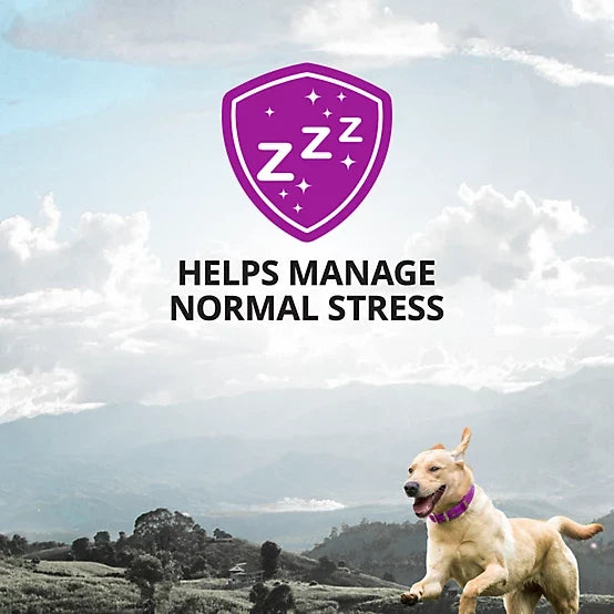 4health Calming Aid Supplement Bars for Dogs, 6 ct.