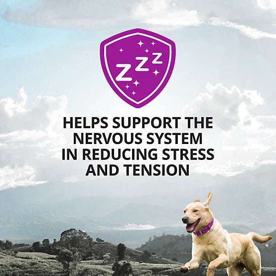 4health Calming Aid with Melatonin Soft Chews for Dogs, 90 ct.