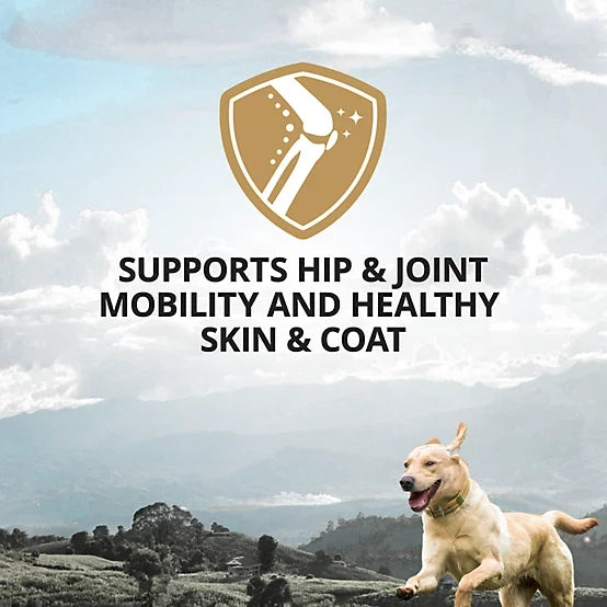 4health Collagen with Salmon Oil Soft Chewable Supplement for Dogs, 90 ct.