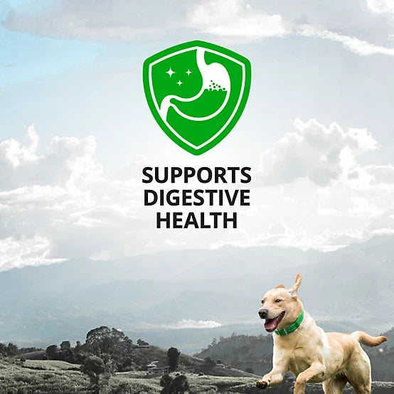 4health Digestive Aid Supplement Bars for Dogs, Peanut Butter Flavor, 6 ct.