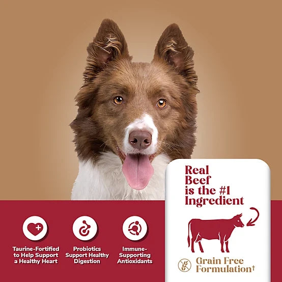 4health Grain Free Adult Beef and Potato Formula Dry Dog Food, 40lb