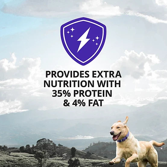 4health High Calorie Powder Supplement for Dogs, 60 Servings