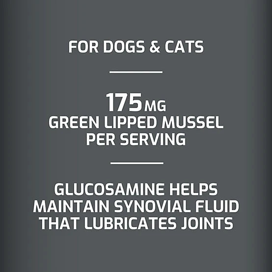 4health Hip and Joint Supplement Powder for Dogs, 6.2oz