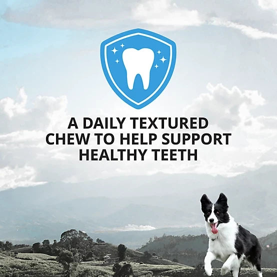 4health Plaque Busters Dental Chews Dog Treats, 32 Count