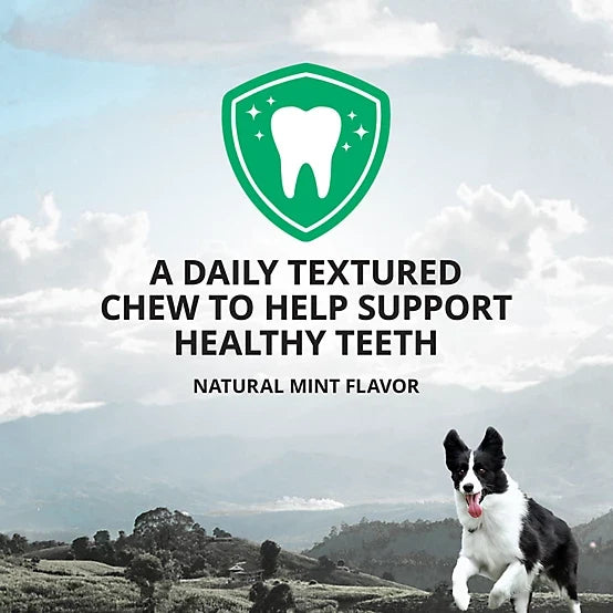4health Plaque Busters Dental Chews Mint Flavor Dog Treats, 32 Count