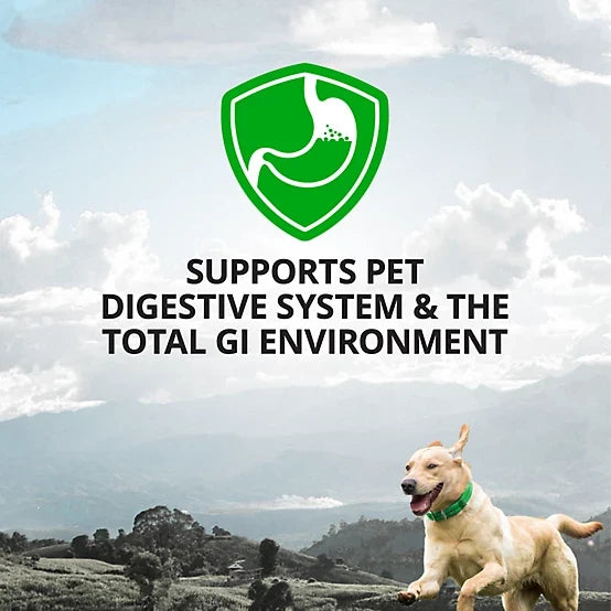 4health Probiotic Powder Supplement Sachets for Dogs, 1.06 oz., 30 ct.