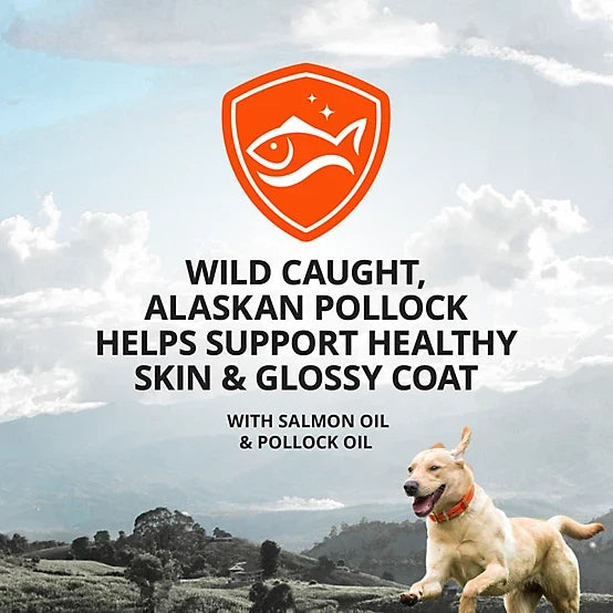 4health Salmon Oil and Pollock Oil Skin and Coat Supplement for Dogs and Cats, 0.52 lb., 60 ct.