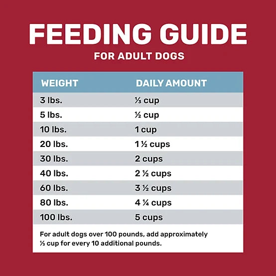 4health Shreds Adult Beef and Rice Formula Dry Dog Food, 18lb