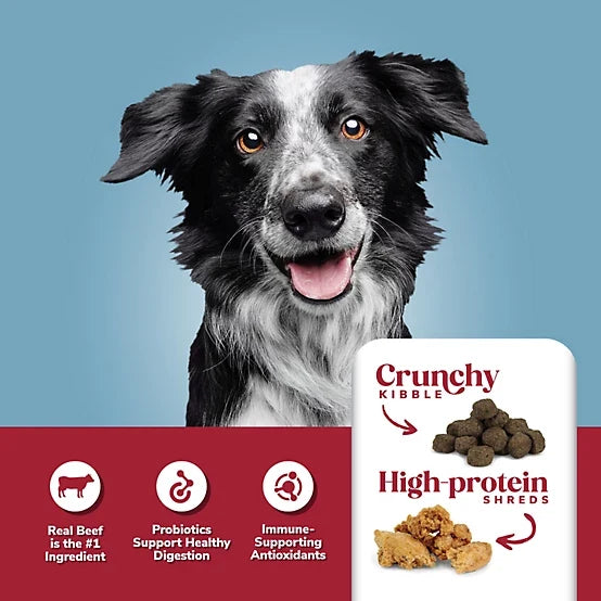 4health Shreds Adult Beef and Rice Formula Dry Dog Food, 35lb