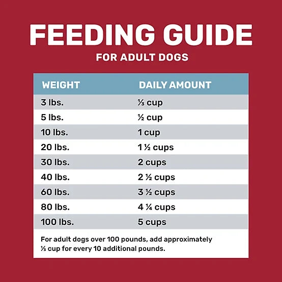 4health Shreds Adult Beef and Rice Formula Dry Dog Food, 35lb
