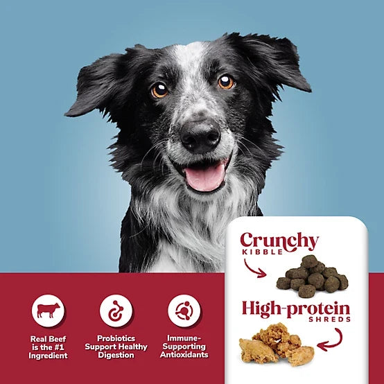 4health Shreds Adult Beef and Rice Formula Dry Dog Food 5lbs