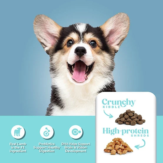4health Shreds Puppy Lamb Recipe Dry Dog Food, 35lb