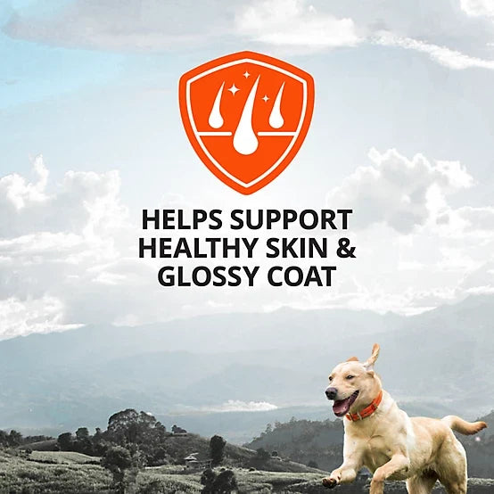4health Skin and Coat Supplement Powder for Dogs, 16 oz.
