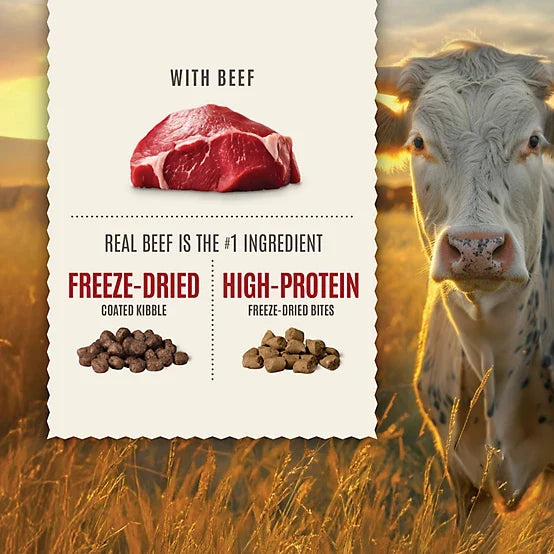 4health Untamed All Life Stages Primal Cuts with Beef Recipe Dry Dog Food