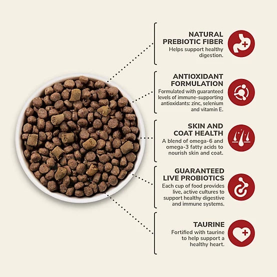 4health Untamed All Life Stages Primal Cuts with Beef Recipe Dry Dog Food