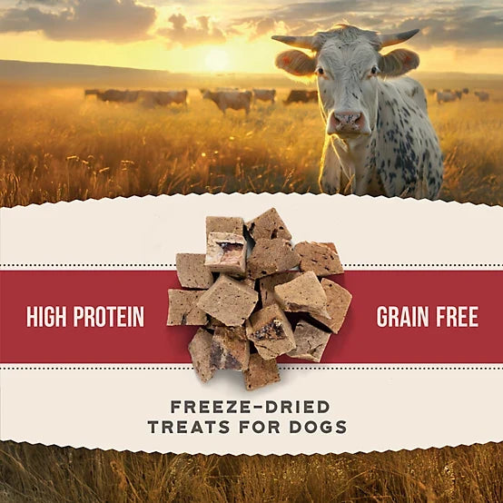 4health Untamed Beef Liver Bites High-Protein Freeze-Dried Dog Treats, 5.3 oz.