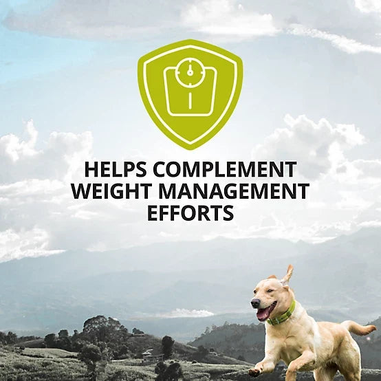 4health Weight Management Supplement Soft Chews for Dogs, 90 ct.