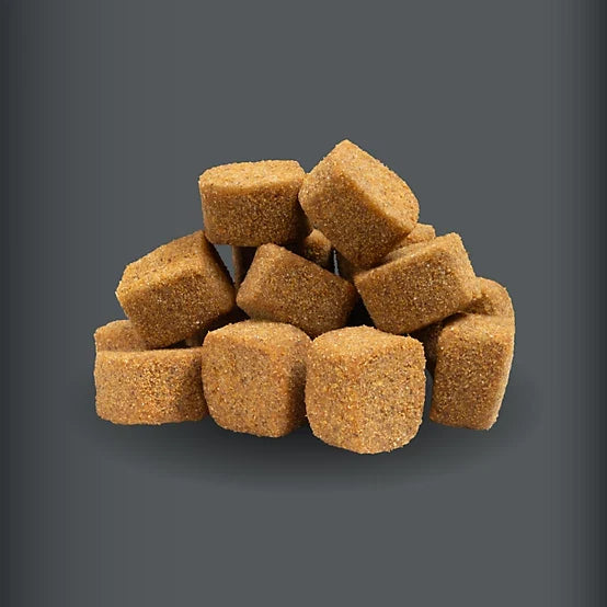 4health Weight Management Supplement Soft Chews for Dogs, 90 ct.