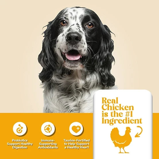 4health with Wholesome Grains Adult Chicken and Rice Formula Dry Dog Food, 18lb