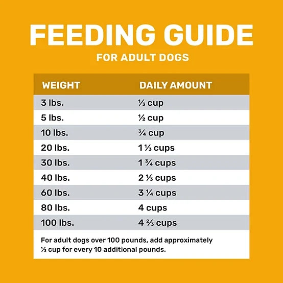 4health with Wholesome Grains Adult Chicken and Rice Formula Dry Dog Food, 45lb