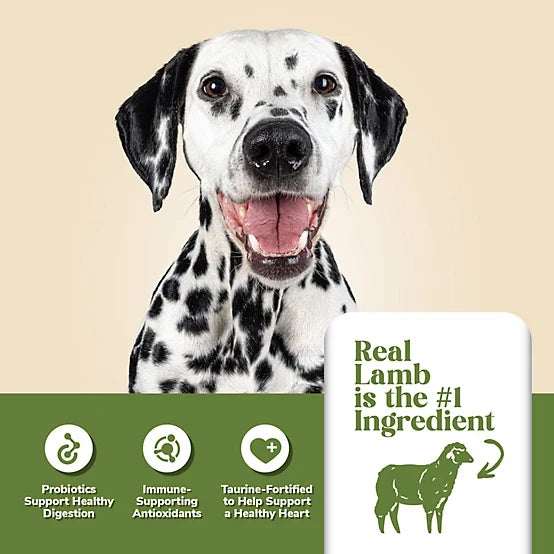 4health with Wholesome Grains Adult Lamb and Rice Formula Dry Dog Food, 45lb