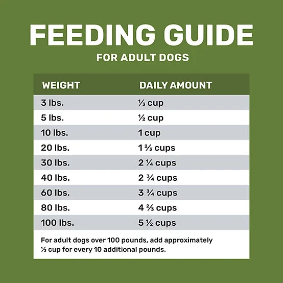 4health with Wholesome Grains Adult Lamb and Rice Formula Dry Dog Food, 45lb