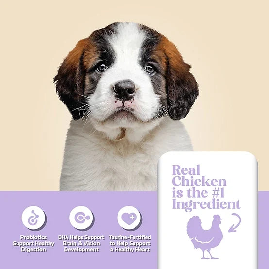 4health with Wholesome Grains Large Breed Puppy Chicken Formula Dry Dog Food, 18lb