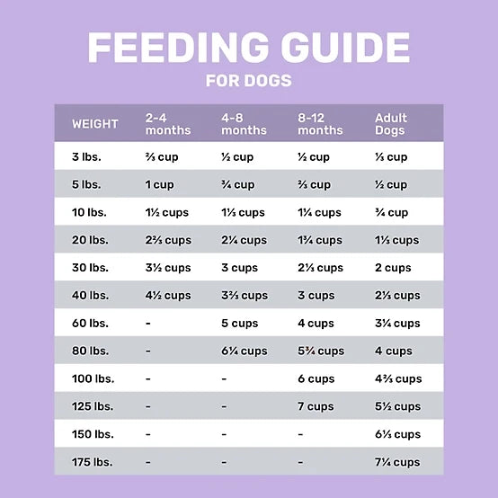 4health with Wholesome Grains Large Breed Puppy Chicken Formula Dry Dog Food, 35lb