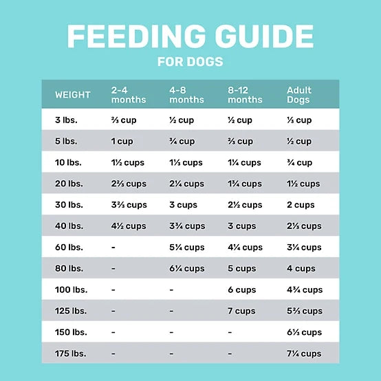 4health with Wholesome Grains Puppy Lamb Formula Dry Dog Food, 18lb