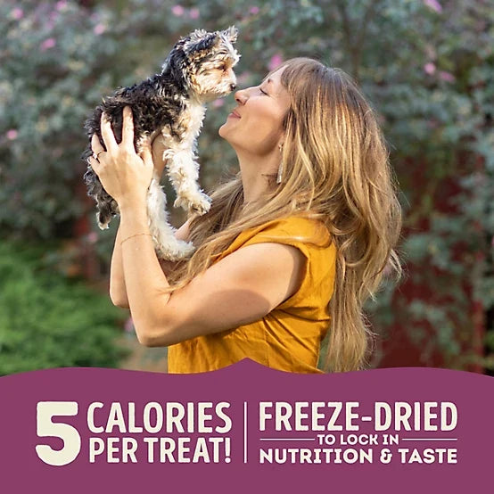 ACANA Freeze-Dried Lamb and Apple Recipe Dog Treats, 3.25 oz.