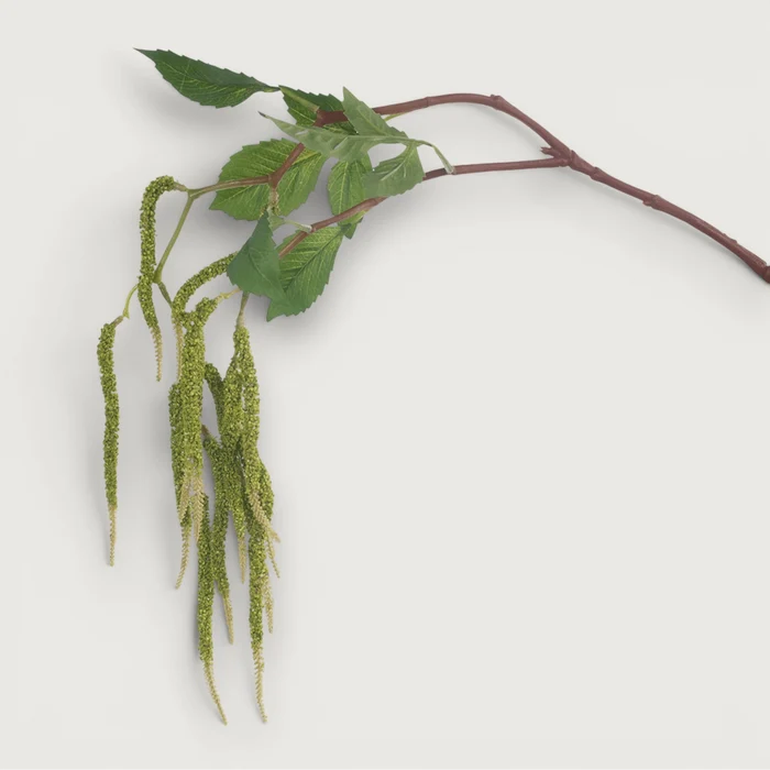 Amaranthus Spray - Green 88cm