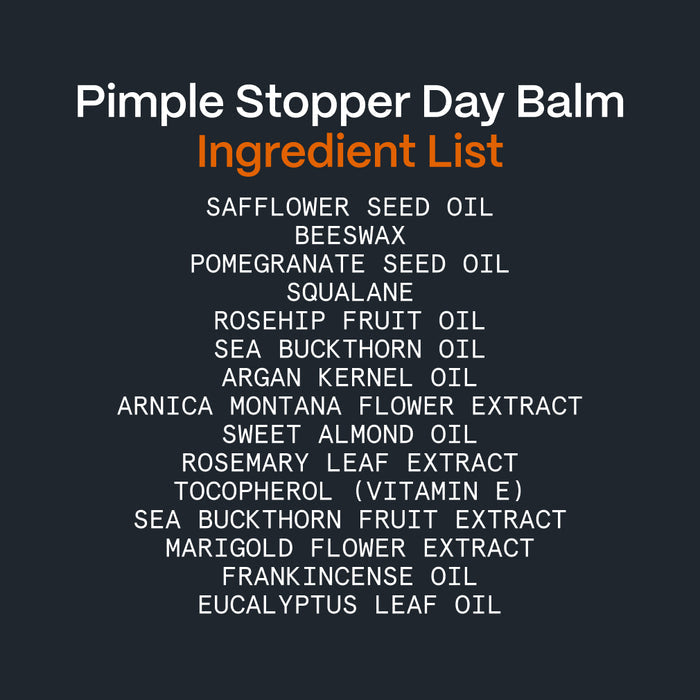 Pimple Stopper Day Balm ingredient card listing its natural Arctic botanicals