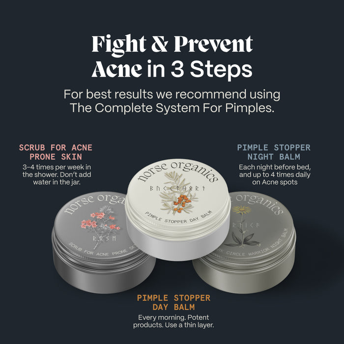 Three-step routine graphic pairing the scrub, day balm and Wrinkle & Dark Circle Warrior Night Balm