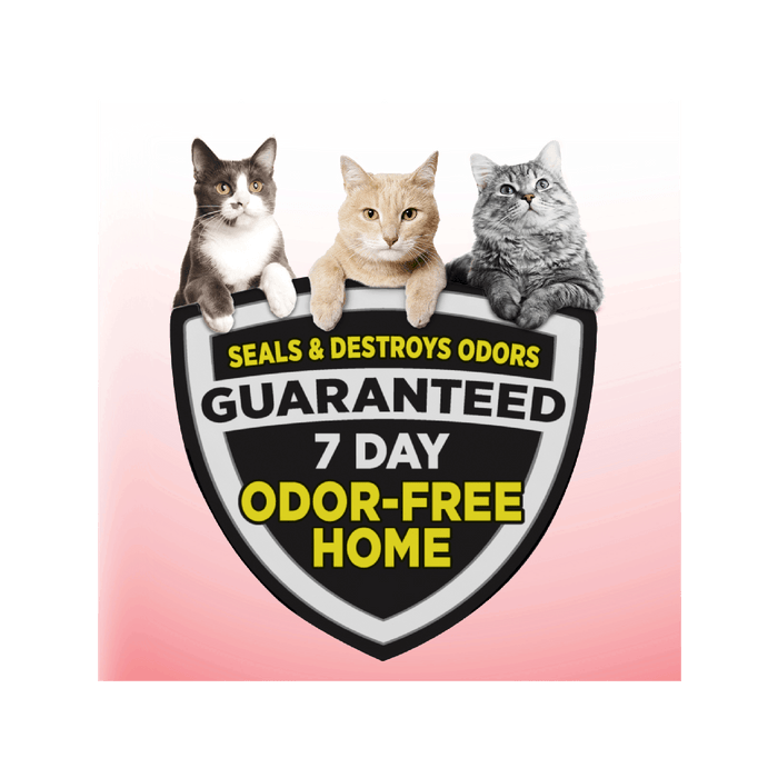 ARM & HAMMER Clump & Seal Multi-Cat Complete Odor Sealing Clumping Cat Litter, 14 lb