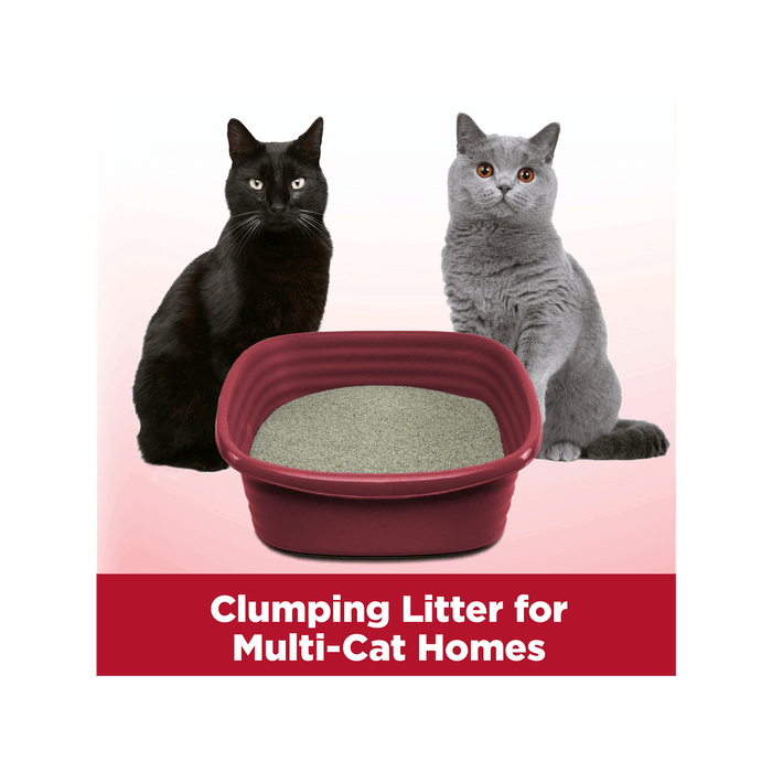 ARM & HAMMER Clump & Seal Multi-Cat Complete Odor Sealing Clumping Cat Litter, 14 lb