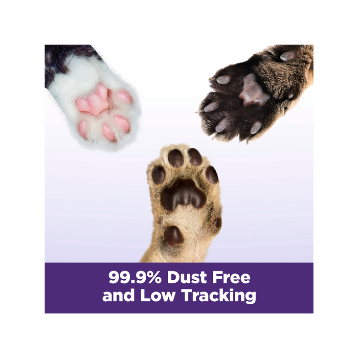 ARM & HAMMER SLIDE Easy Clean-Up Multi-Cat Clumping Cat Litter, 14 lb