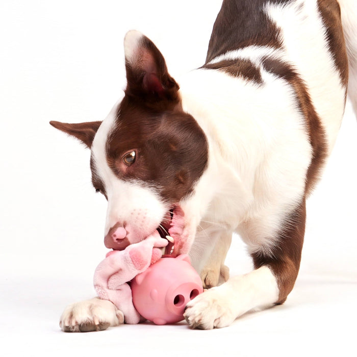 BARK Super Chewer Hambone pig hog pink rubber dog toy M