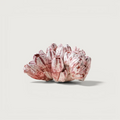 Barnacle - Small