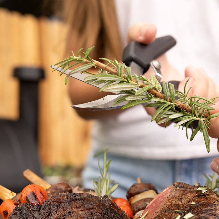 Pit Boss BBQ Shears cutting herbs for BBQ garnishing