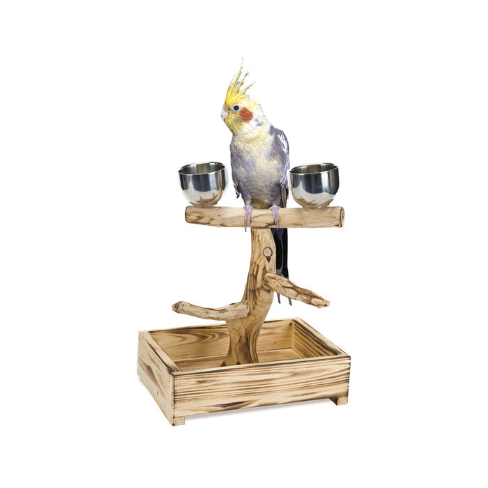 Bird Life™ Natural Wood Tree Perch for Small & Medium Birds with Stainless Steel Cups