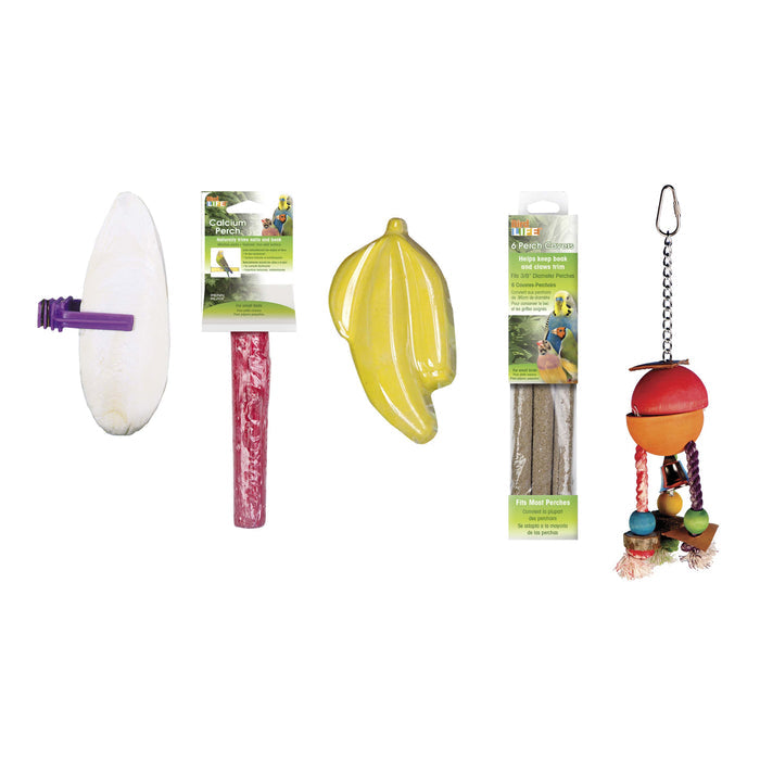 Bird Life™ Parakeet - Small Bird Starter Kit with Accessories