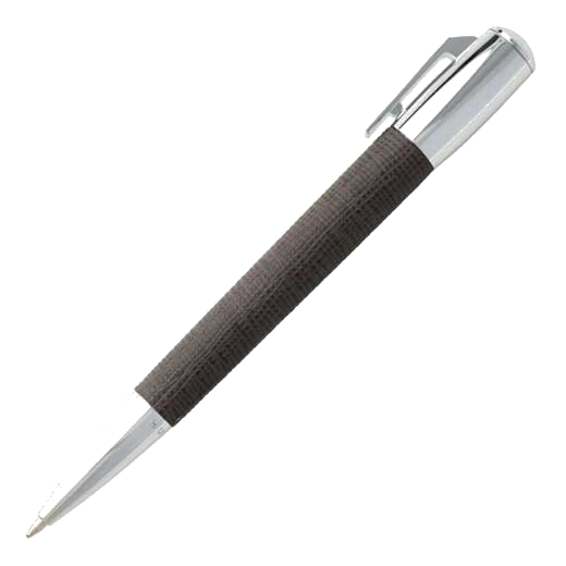 This is the grey hugo boss tradition pen case.