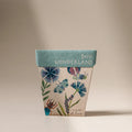 Bug Wonderland Gift of Seeds - Few and Far - Gifts