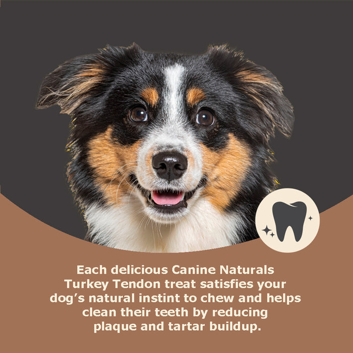 Canine Naturals Natural Turkey Tendon Strips - Slow Roasted Treats for Dogs - 3oz