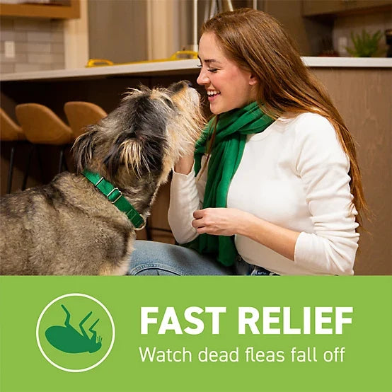 Capstar Flea Control Tablets for Dogs 25 lb. and Up, 6 ct.