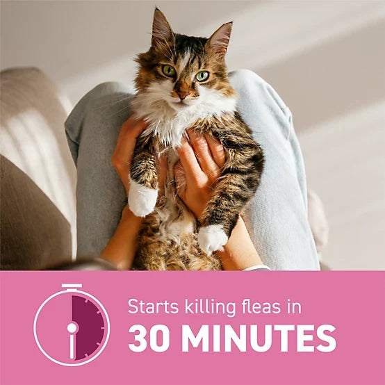 Capstar Oral Flea Treatment Tablets for Cats, 6 ct.